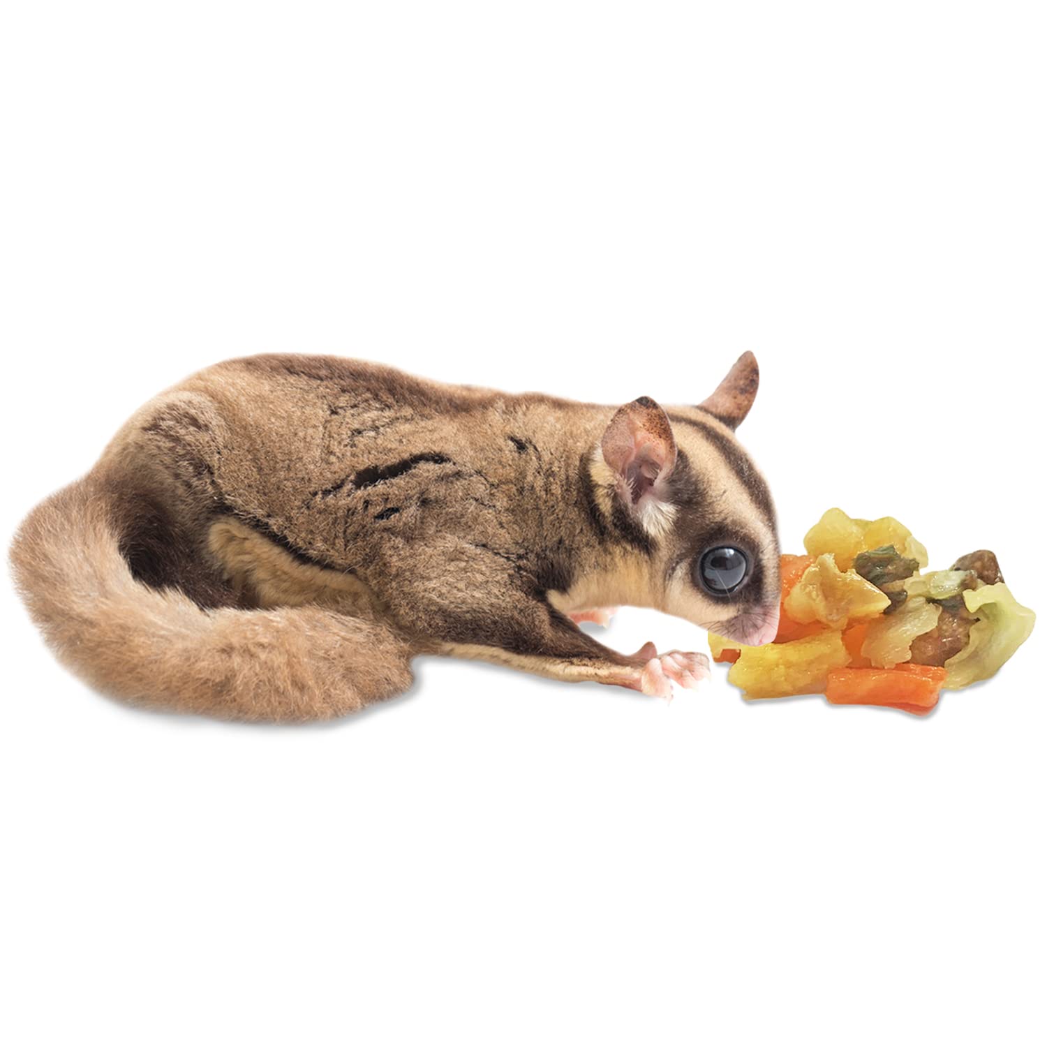 Garden Fresh Re-Hydrate, rehidratar para obtener snack fresco.