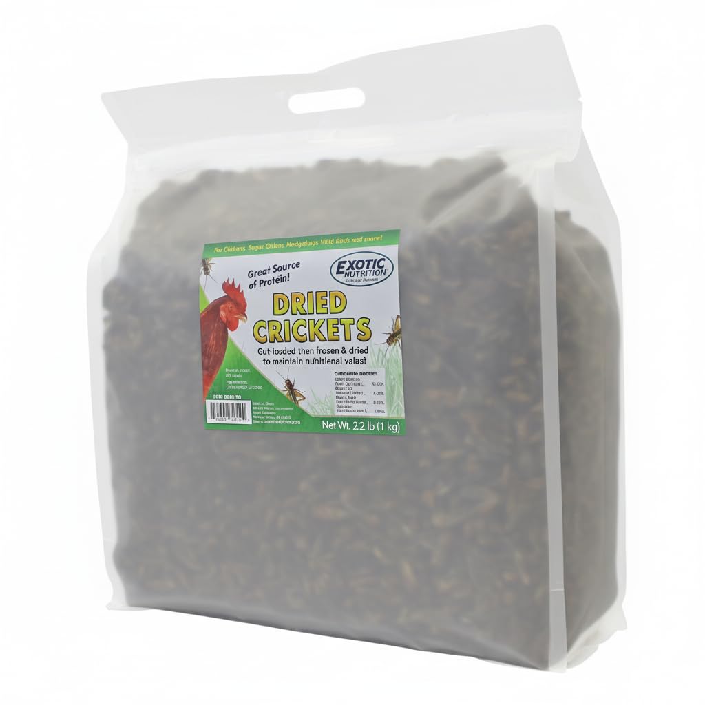 Exotic Nutrition grillos secos en bolsa 2-2 libras: fuente proteica natural para mascotas