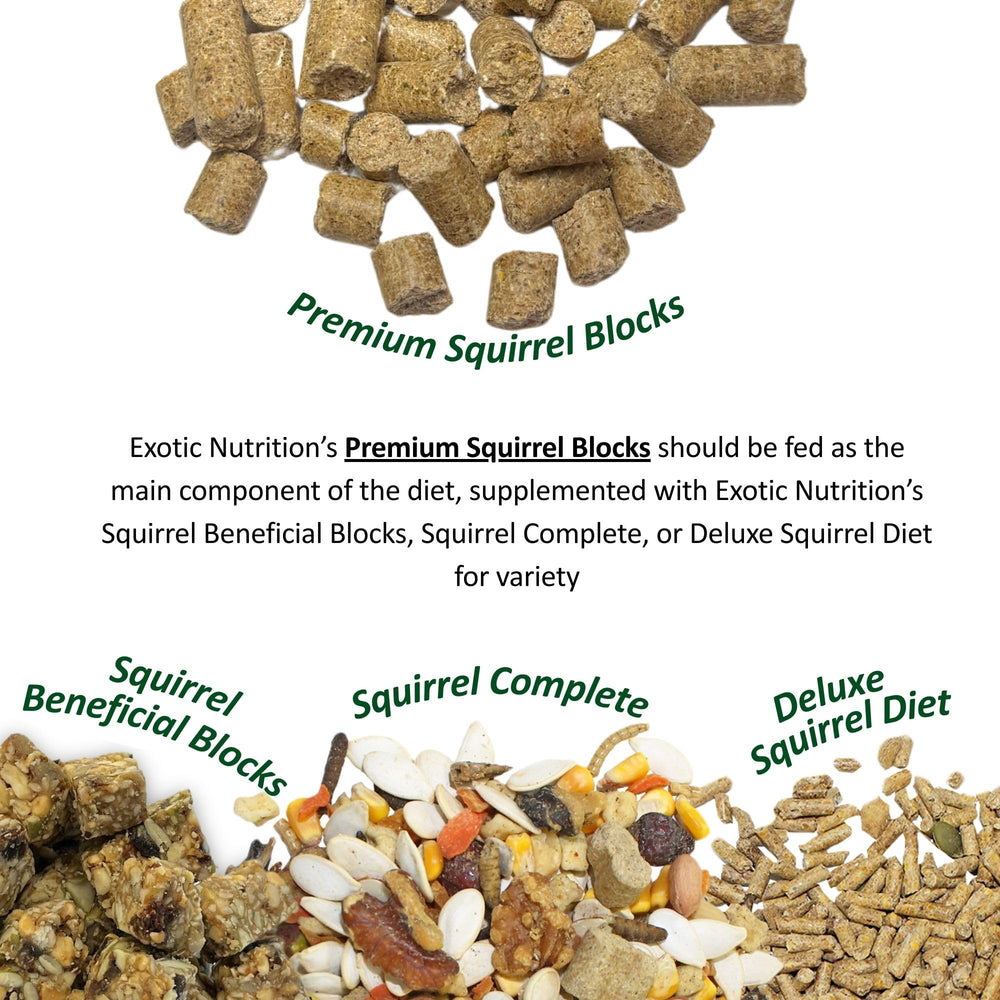 Ingredientes clave de Exotic Nutrition Completo para Ardillas con batatas dulces para sabor