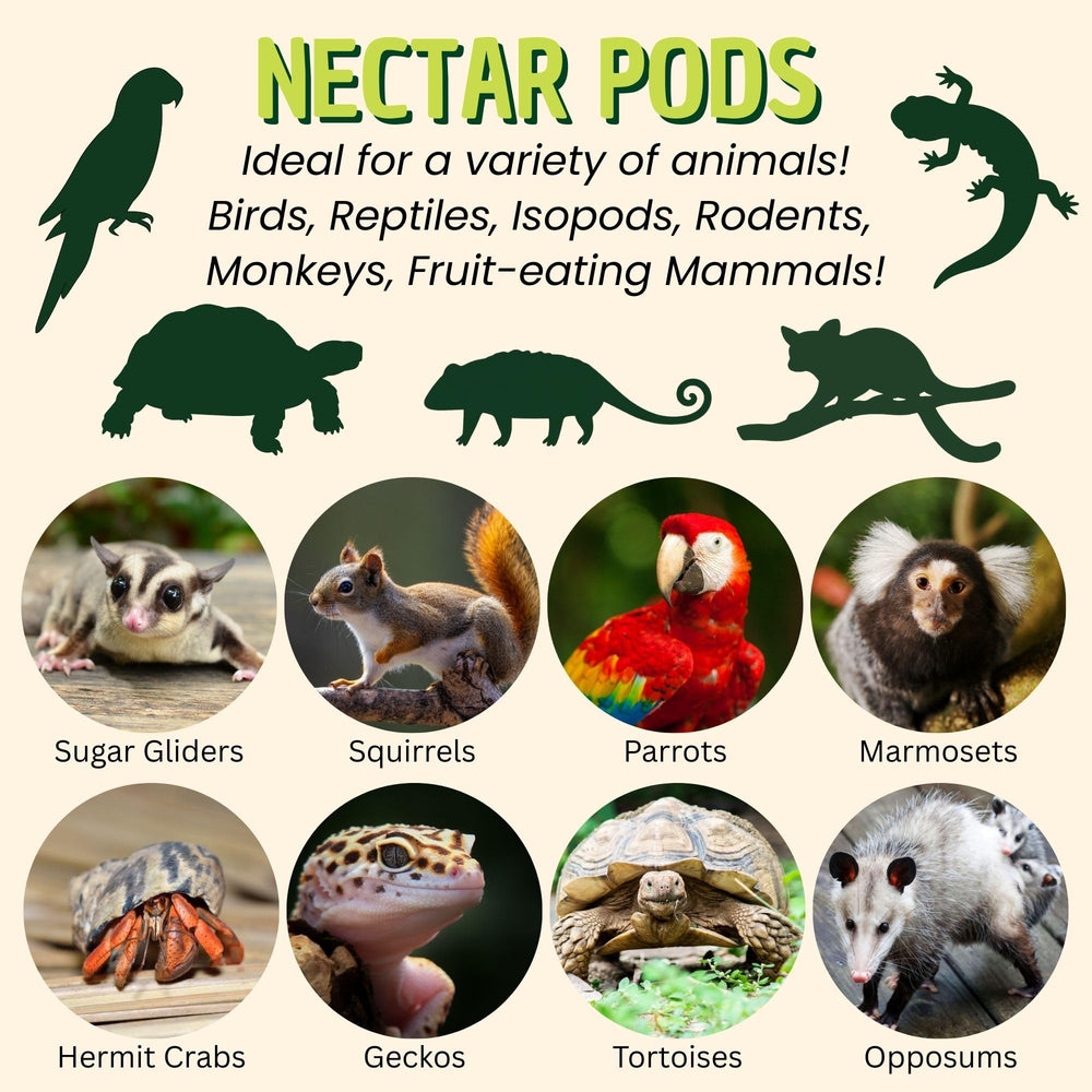 Nectar Pods Mango, ingredientes naturales de fruta, sabor tropical para consentir mascotas.