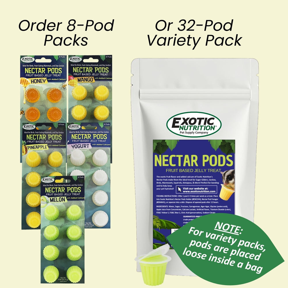 Nectar Pods Mango para loros y periquitos, premio frutal y colorido.