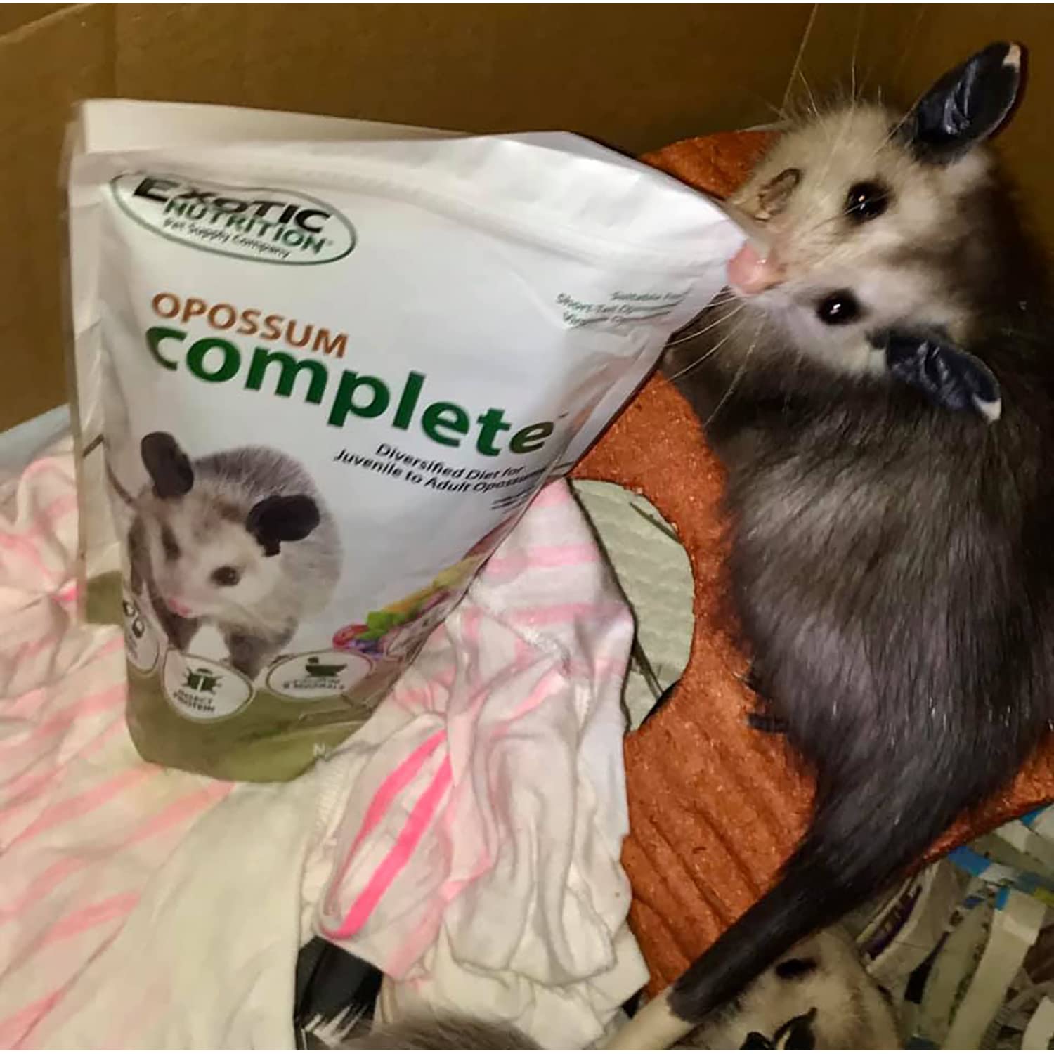 Exotic Nutrition Opossum Complete: preparación diaria simple para cuidado práctico.
