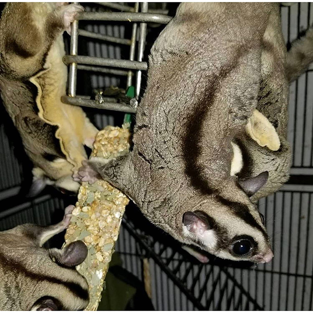Exotic Nutrition palitos con cable de soporte para jaula