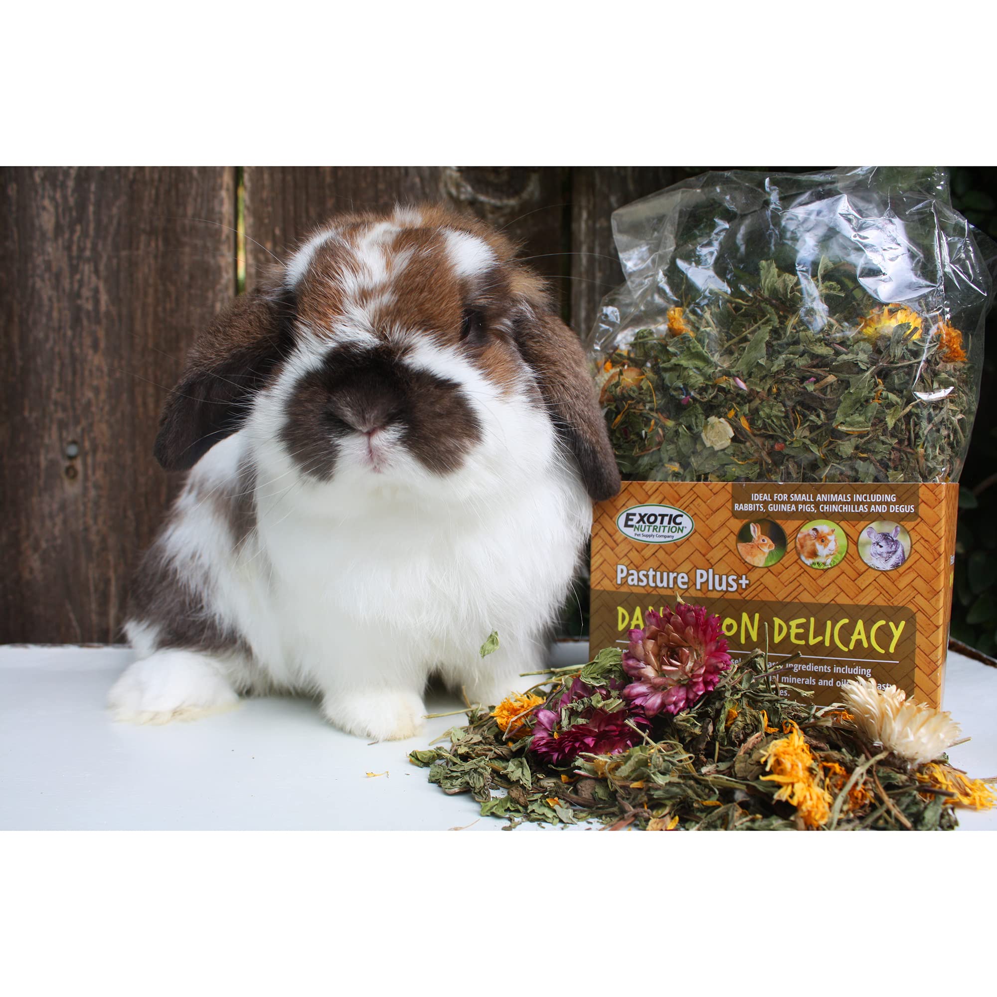 Pasture Plus+ Dandelion Delicacy, fuente de calcio en una golosina herbívora