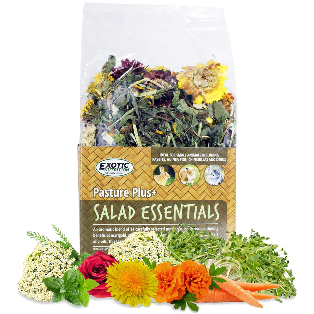 Exotic Nutrition Pasture Plus: ensalada esencial para animales pequeños, rica en fibra.