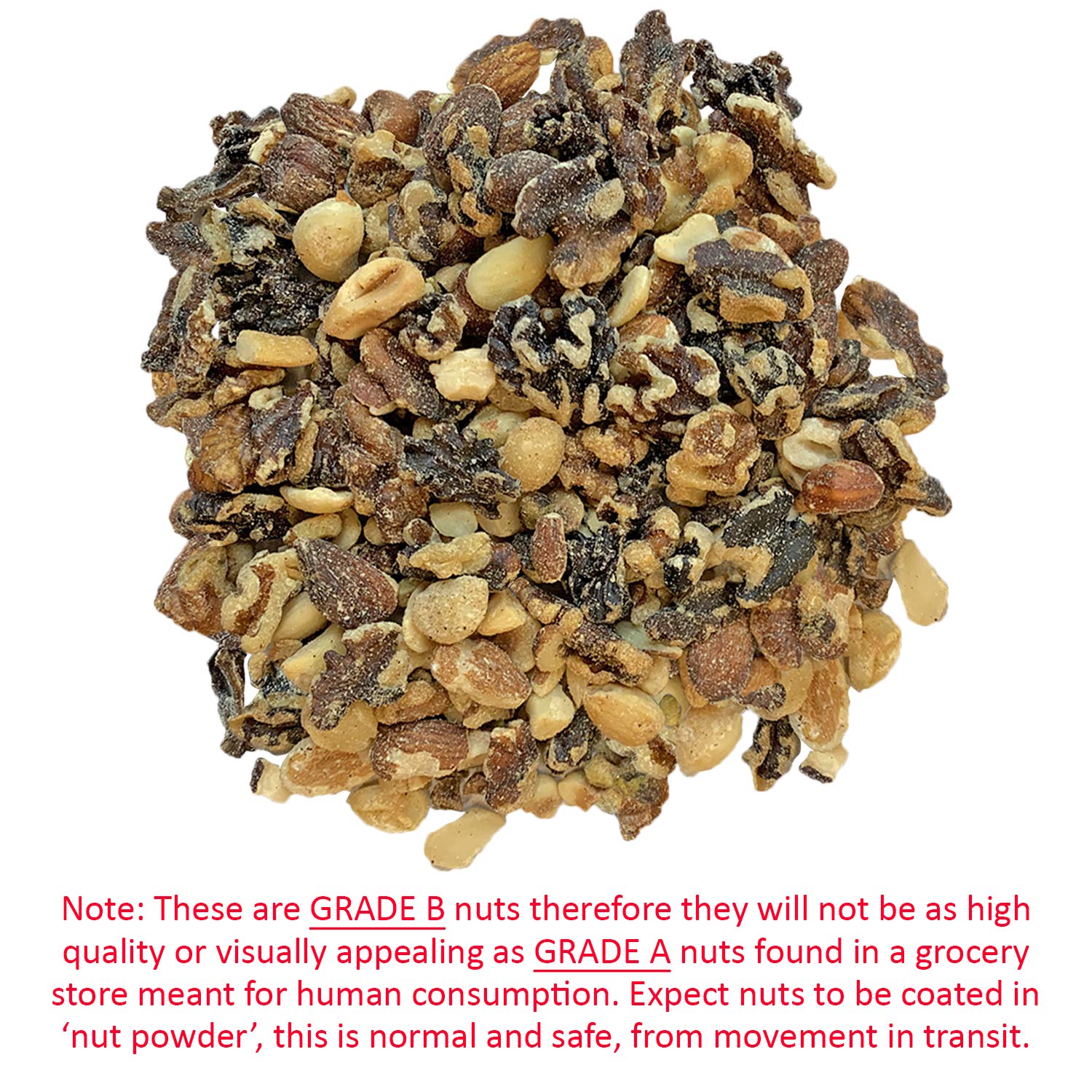 Mano sosteniendo nueces y avellanas de Exotic Nutrition Premium Nut Mix