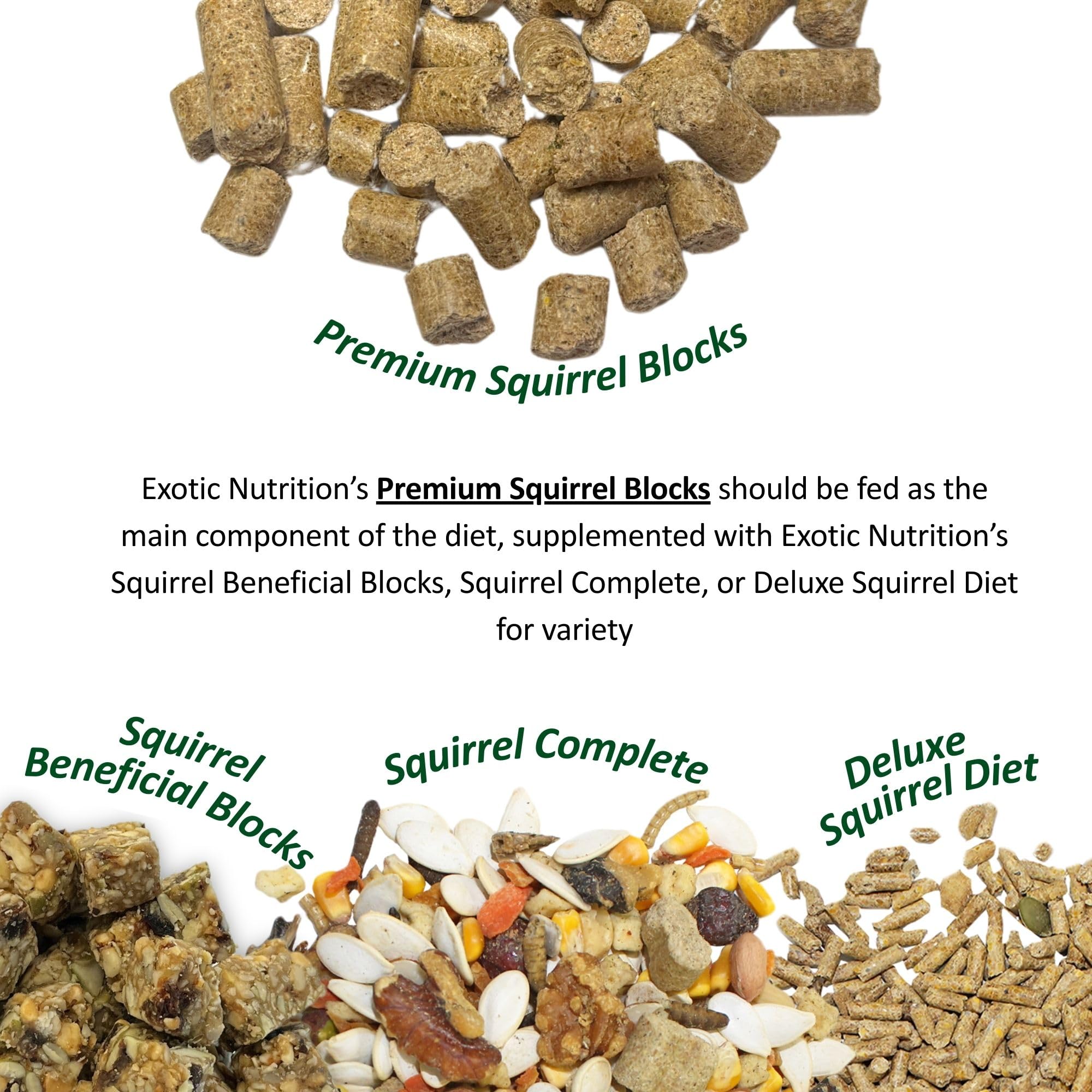 Mezcla de frutas y semillas de Squirrel Complete para sabor natural.