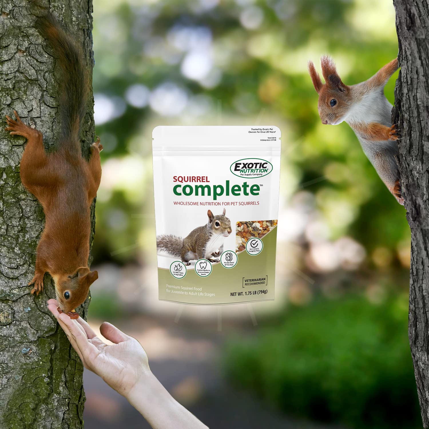 Nutrición natural para ardillas con Squirrel Complete.