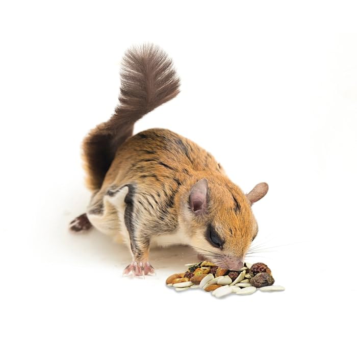 Reciente lote garantiza frescura en Exotic Nutrition Squirrel Complete.