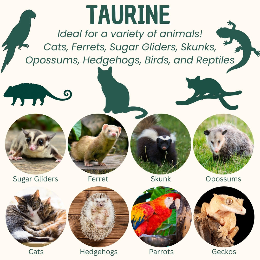 Exotic Nutrition Taurina Polvo uso diario para perros, apoyando digestión y energía.