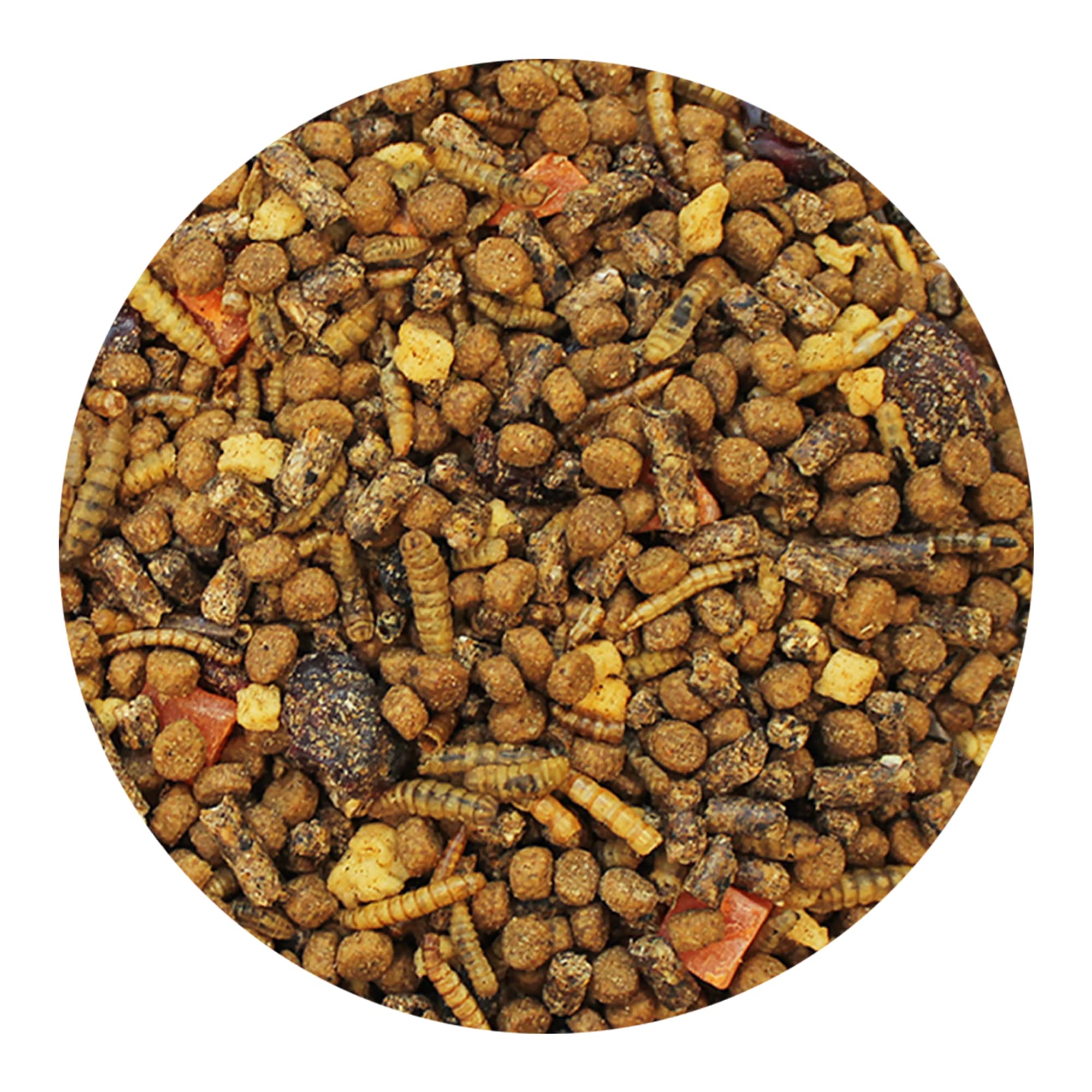 Exotic Nutrition Opossum Complete: calcio alto procedente de insectos para huesos sanos.