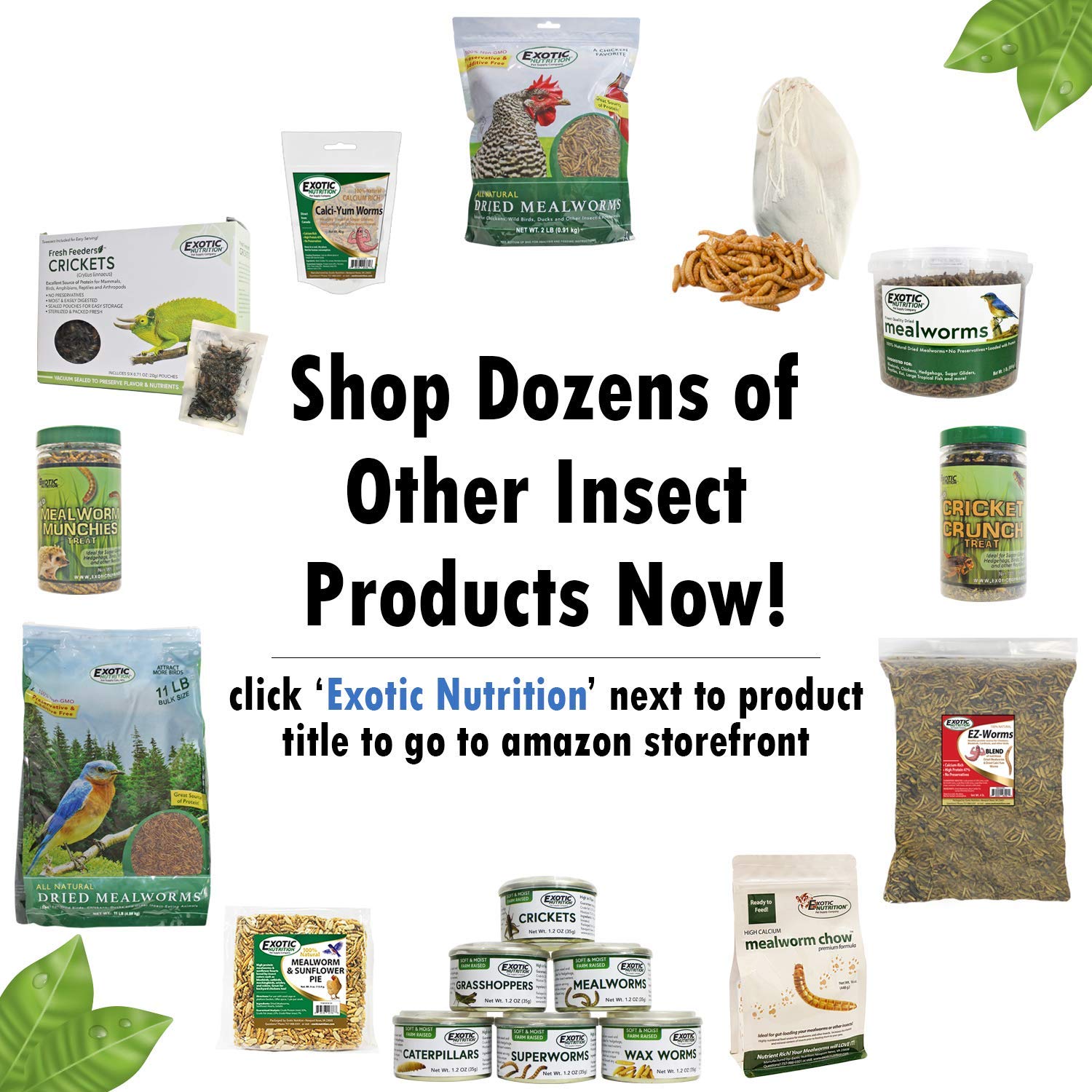 Exotic Nutrition Mealworm Munchies para enriquecimiento dental suave al masticar.