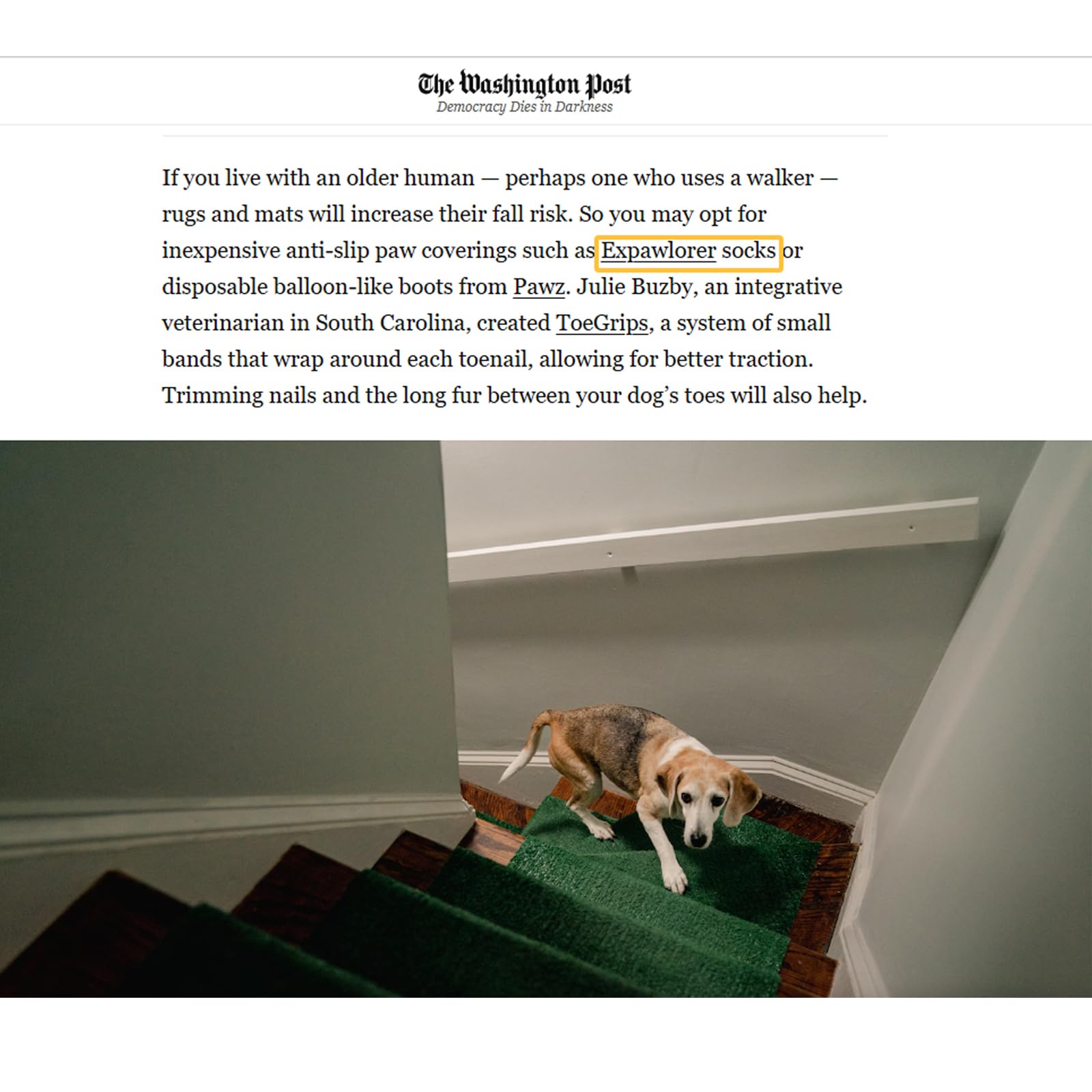 EXPAWLORER uso diario para perros de talla mediana a grande