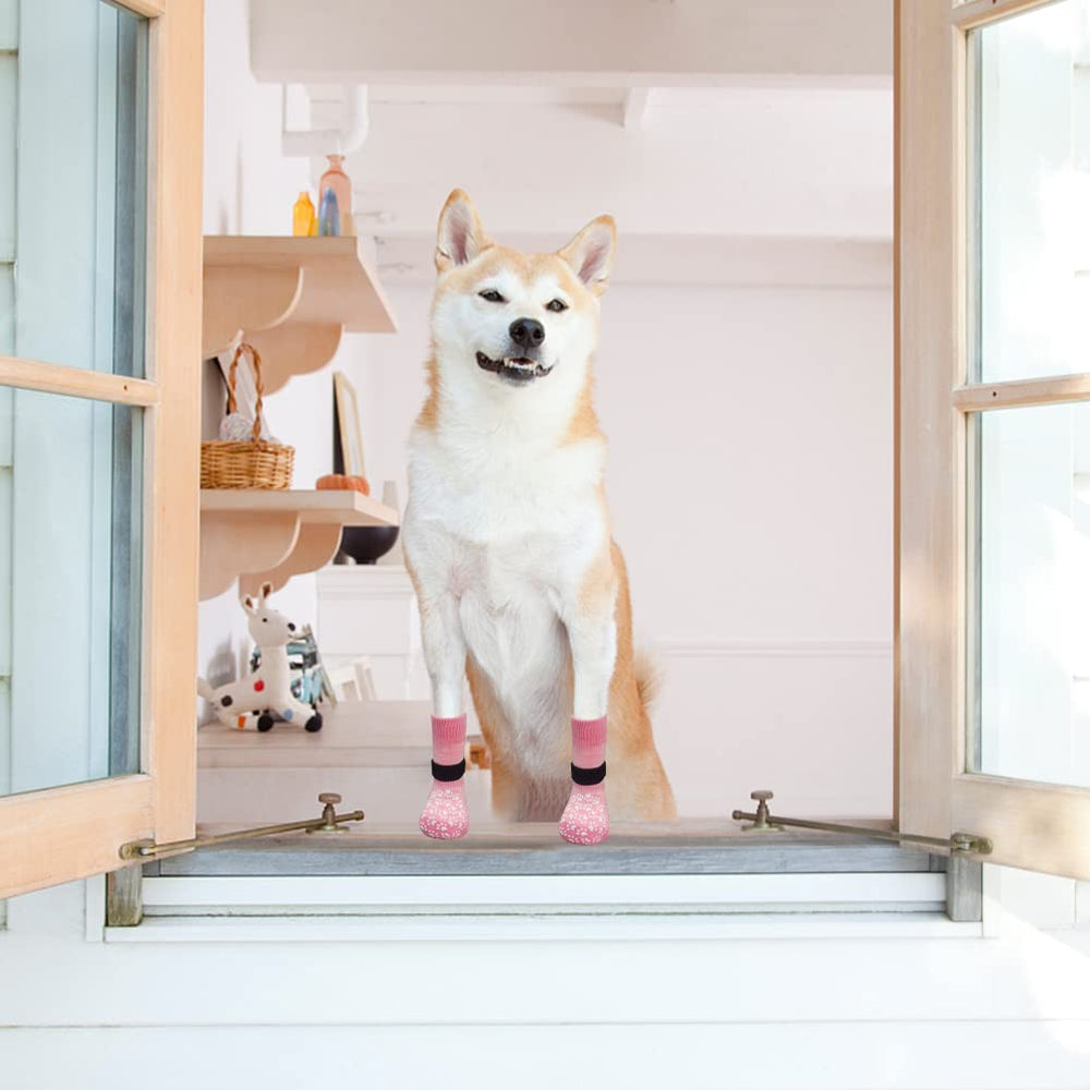 EXPAWLORER protección de patas en pavimentos duros, seguridad al caminar.