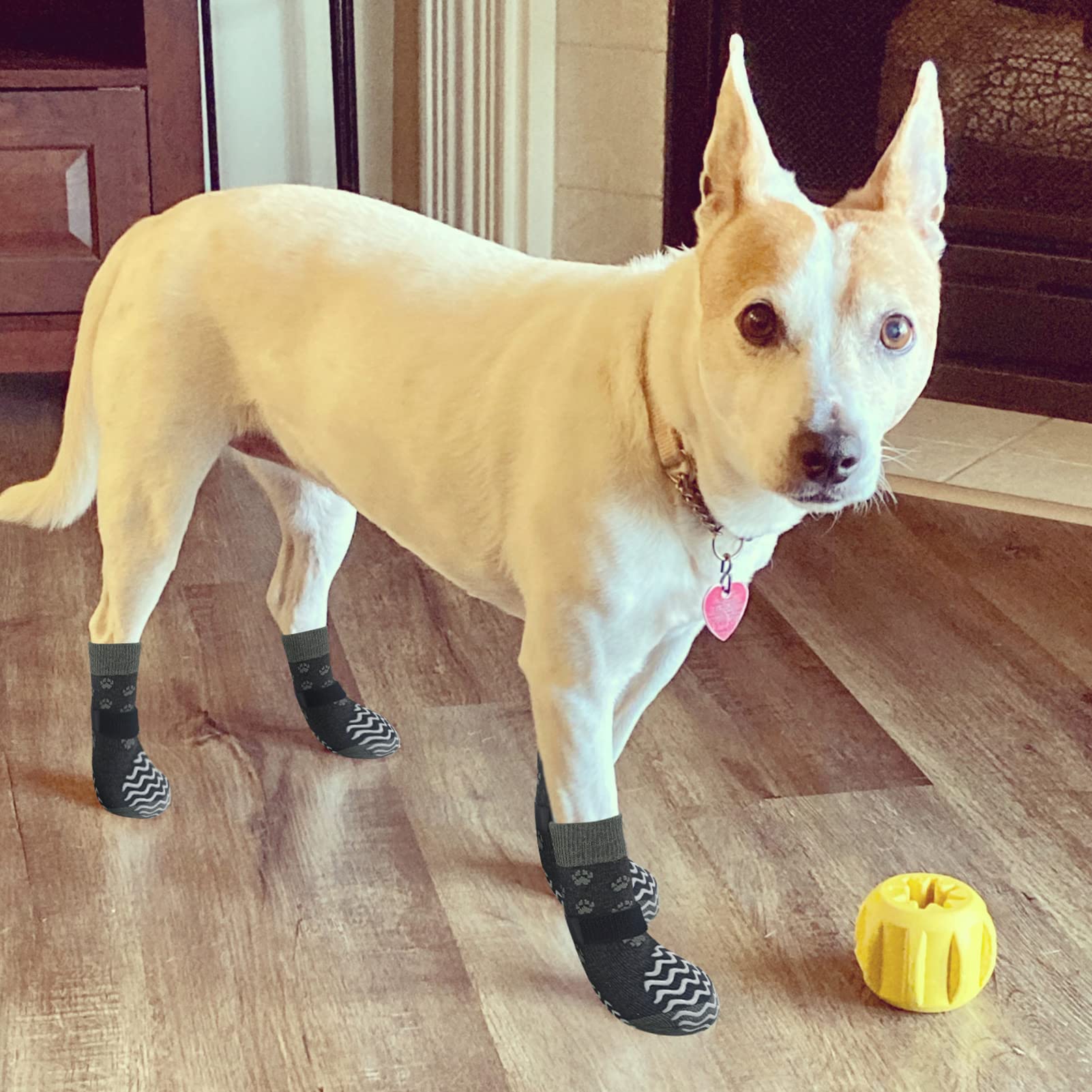 EXPAWLORER botas para perros, ideales para uso en casa o al aire libre.