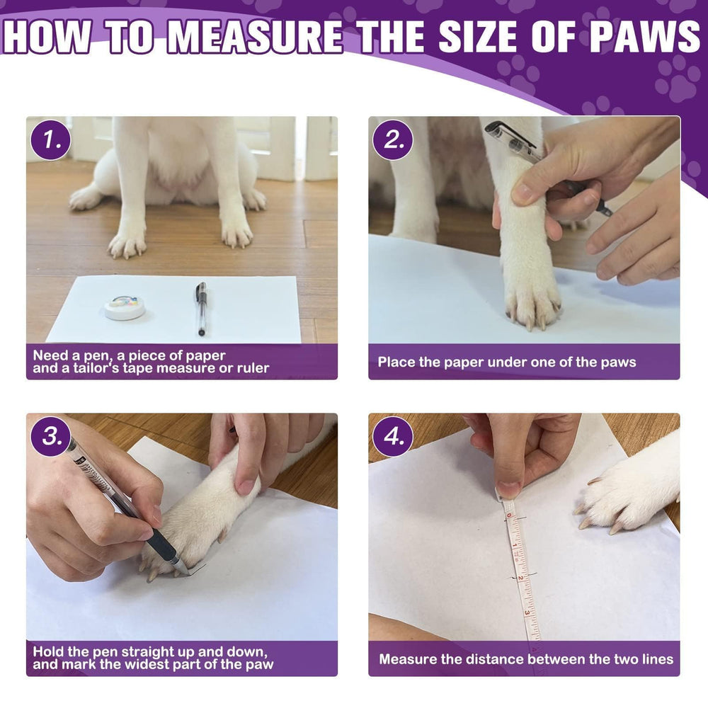 EXPAWLORER paquete de 6 calcetines, opciones de color y correas desmontables para ajuste.