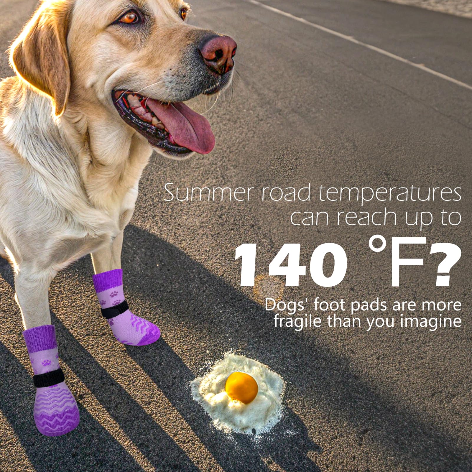 EXPAWLORER calcetines para perros, agarres en ola en ambos lados para adherencia.