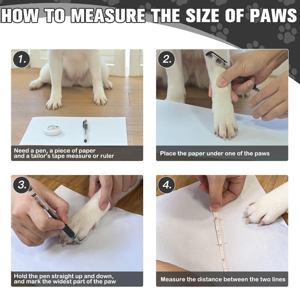 Confort diario EXPAWLORER para perros activos.