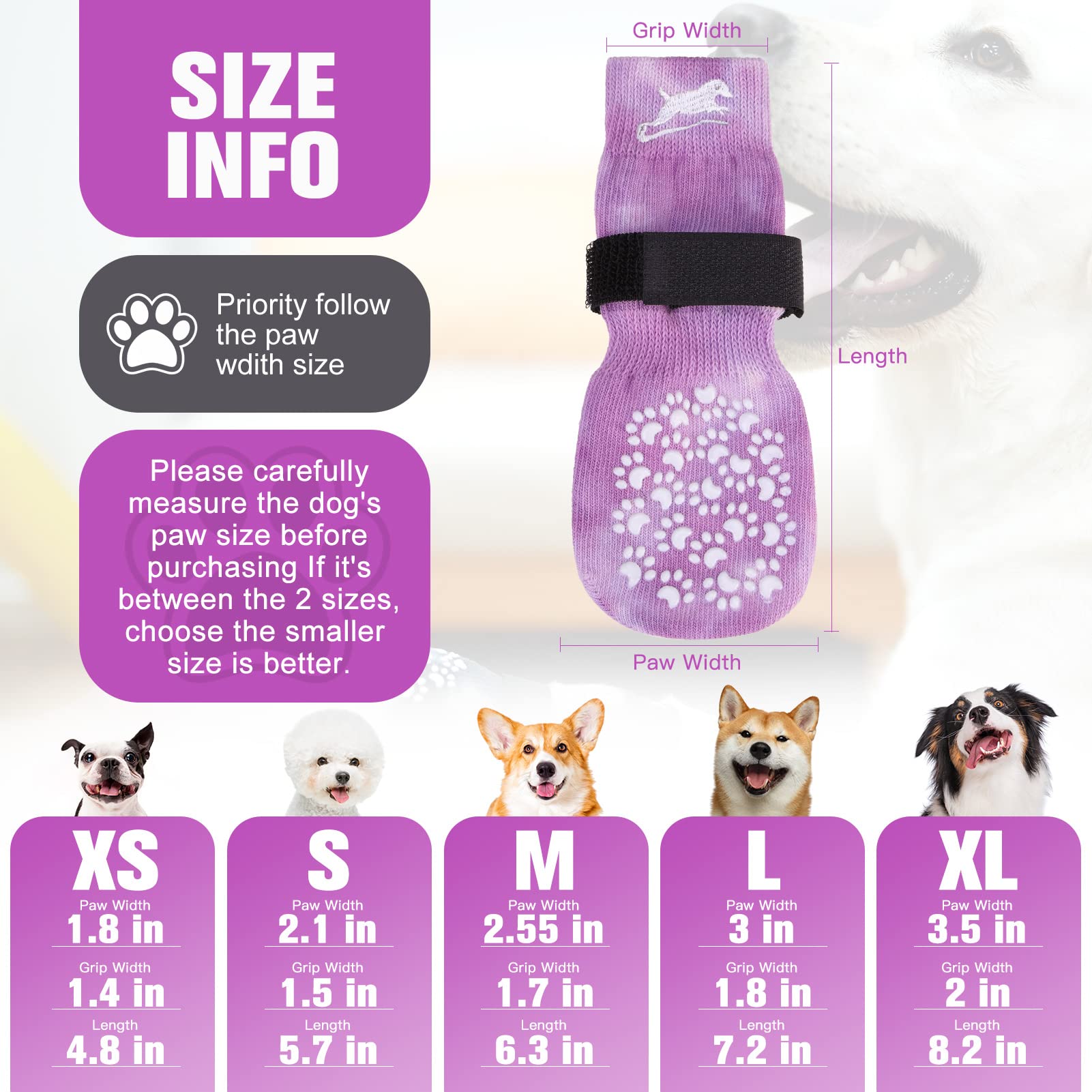 EXPAWLORER calcetines perro evita lamer patas y molestias diarias