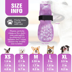 EXPAWLORER calcetines perro evita lamer patas y molestias diarias