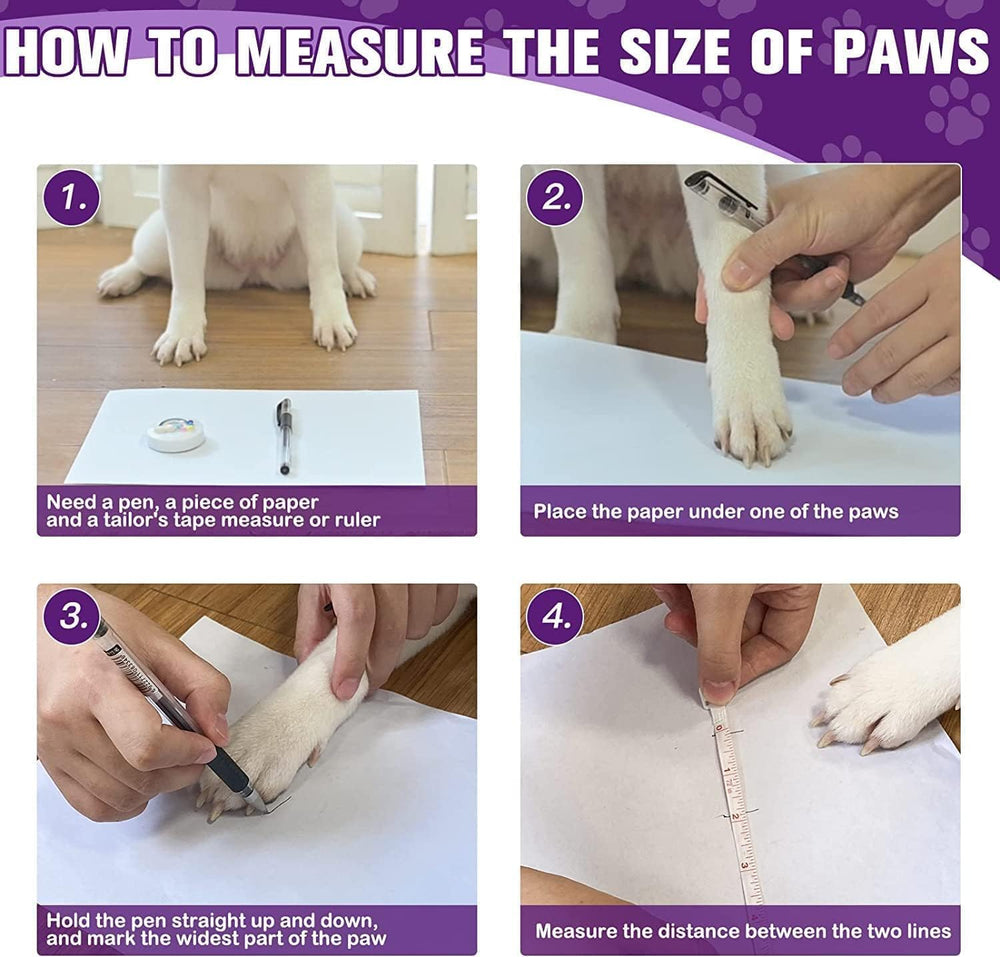 EXPAWLORER calcetines perros talla XS para perros pequeños