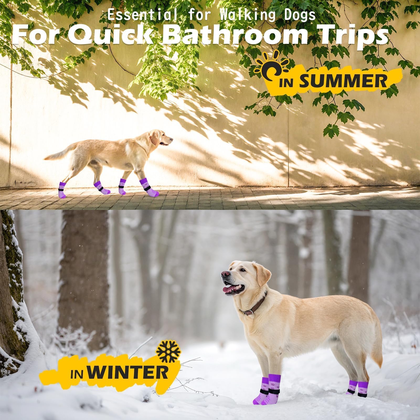EXPAWLORER calcetines perros para uso interior y exterior