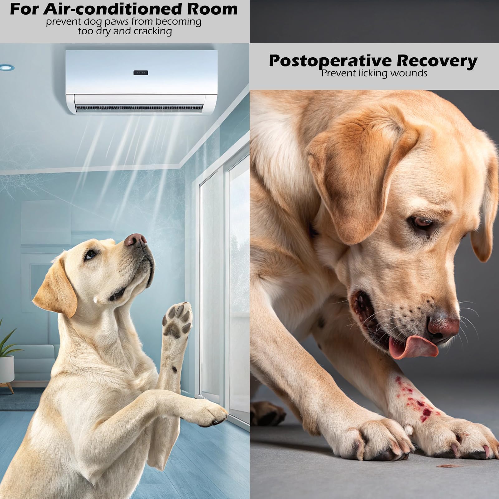 Uso interior y exterior con calcetines Expawlorer para perros activos.