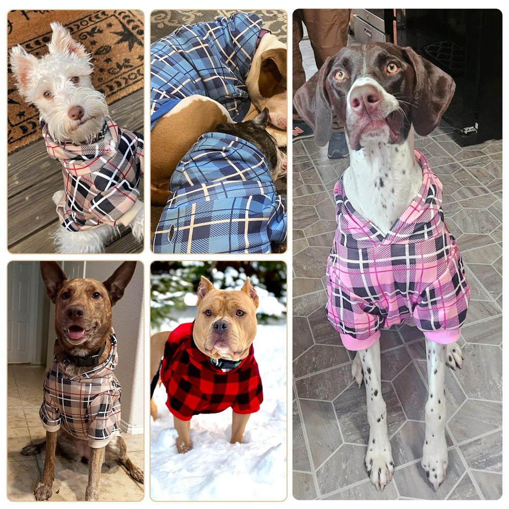 EXPAWLORER Plaid Dog Hoodie lavable a máquina y apto para secadora