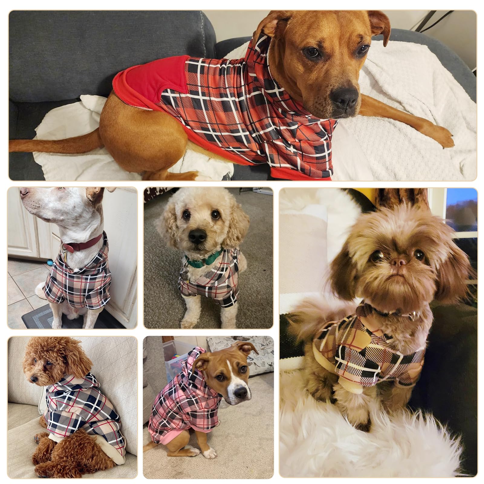 EXPAWLORER Plaid Dog Hoodie uso diario y actividades al aire libre