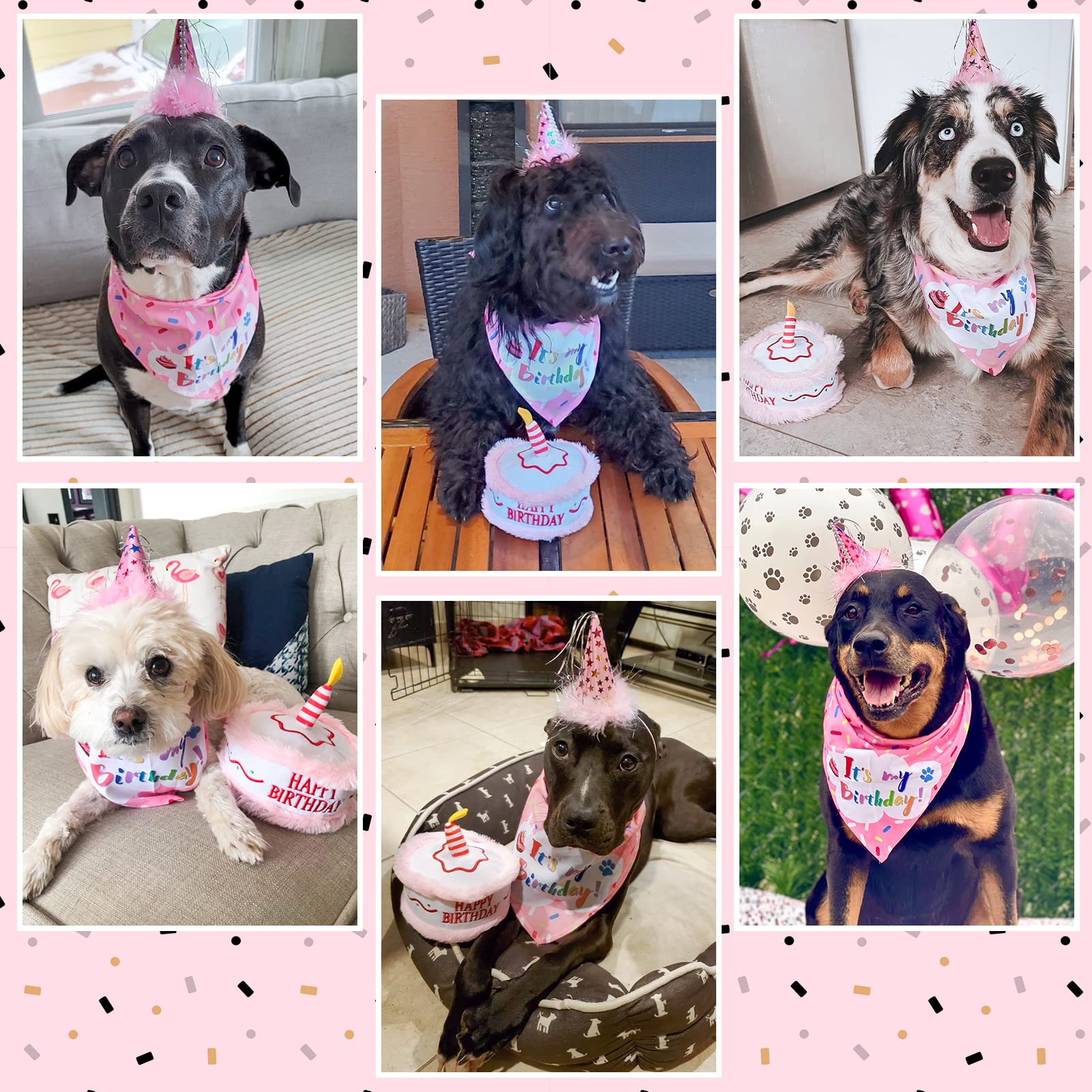 EXPAWLORER conjunto de cumpleaños para perro, outfit completo para la fiesta