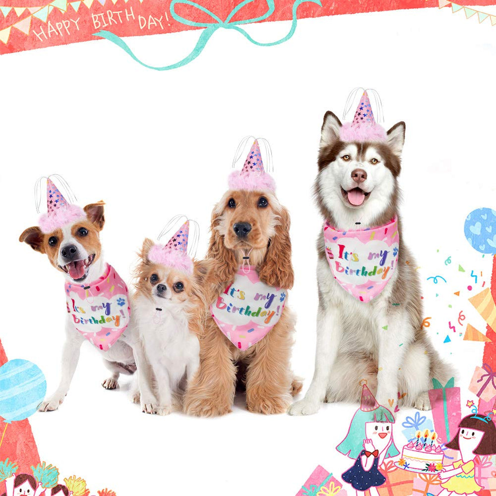 EXPAWLORER empaque regalo para perro, ideal para celebrar un cumpleaños
