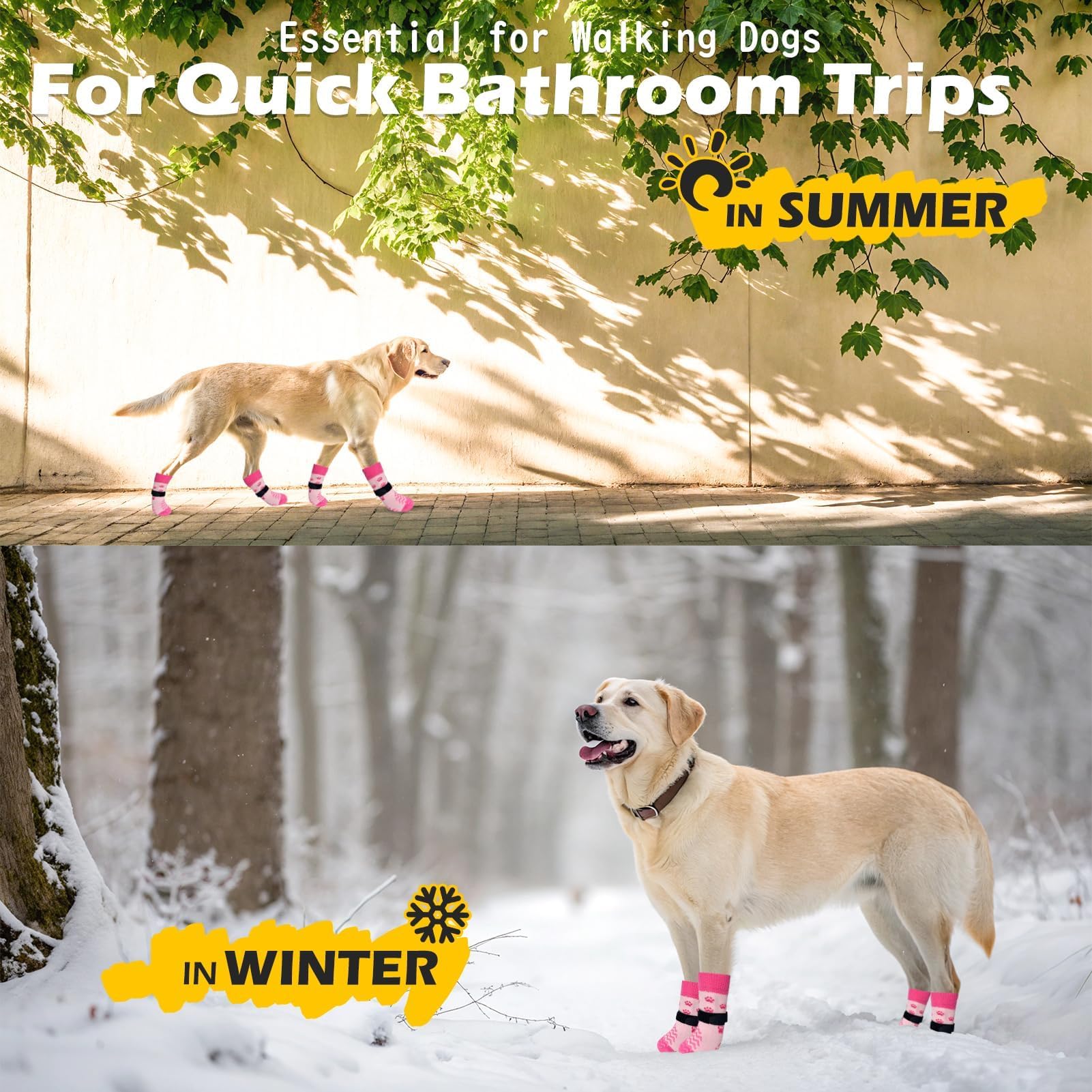 EXPAWLORER pack de 6 calcetines para perros colores variados.