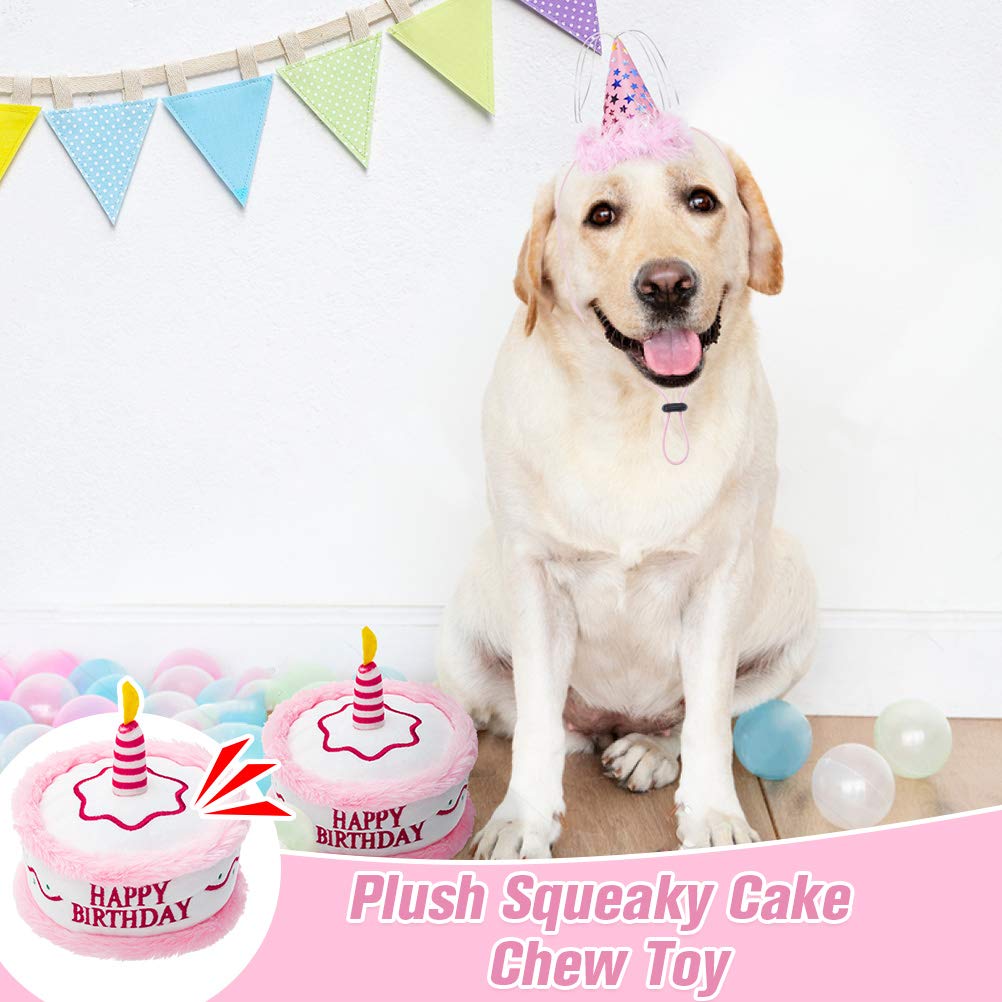 EXPAWLORER perro celebrando cumpleaños con conjunto festivo y fotos memorables