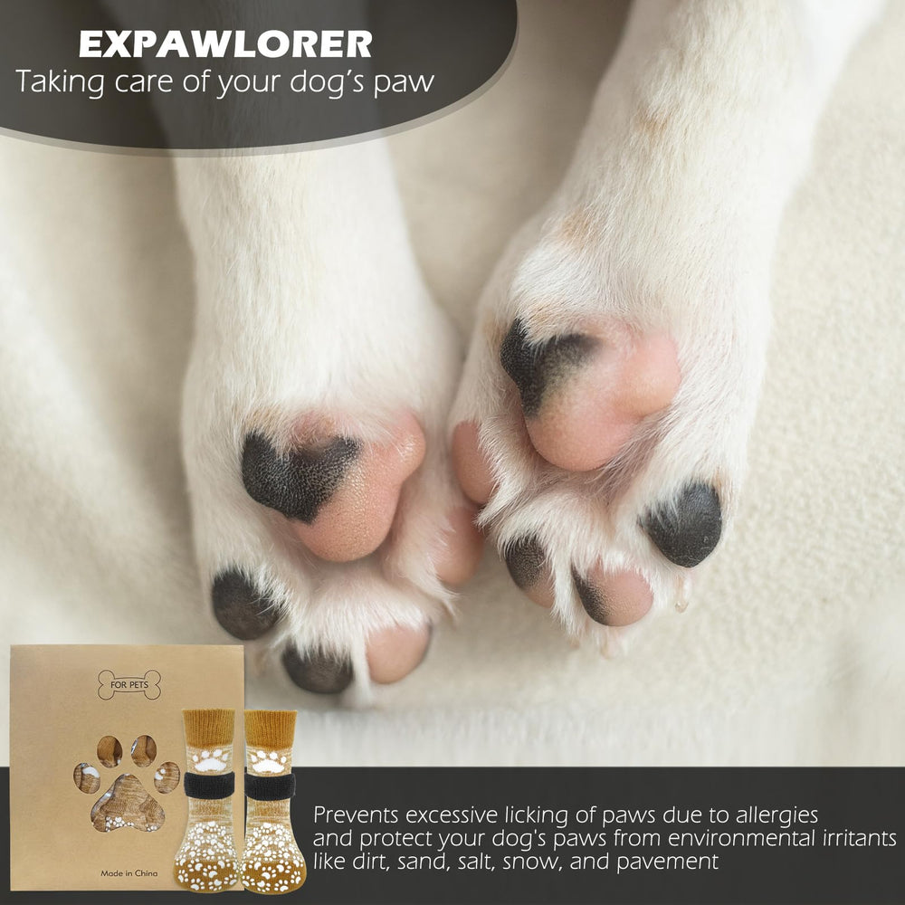 EXPAWLORER traction sur parquet, sécurité pour chiens actifs.