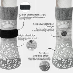 EXPAWLORER bottes-protection-pattes sur sol chaud, protège les coussinets
