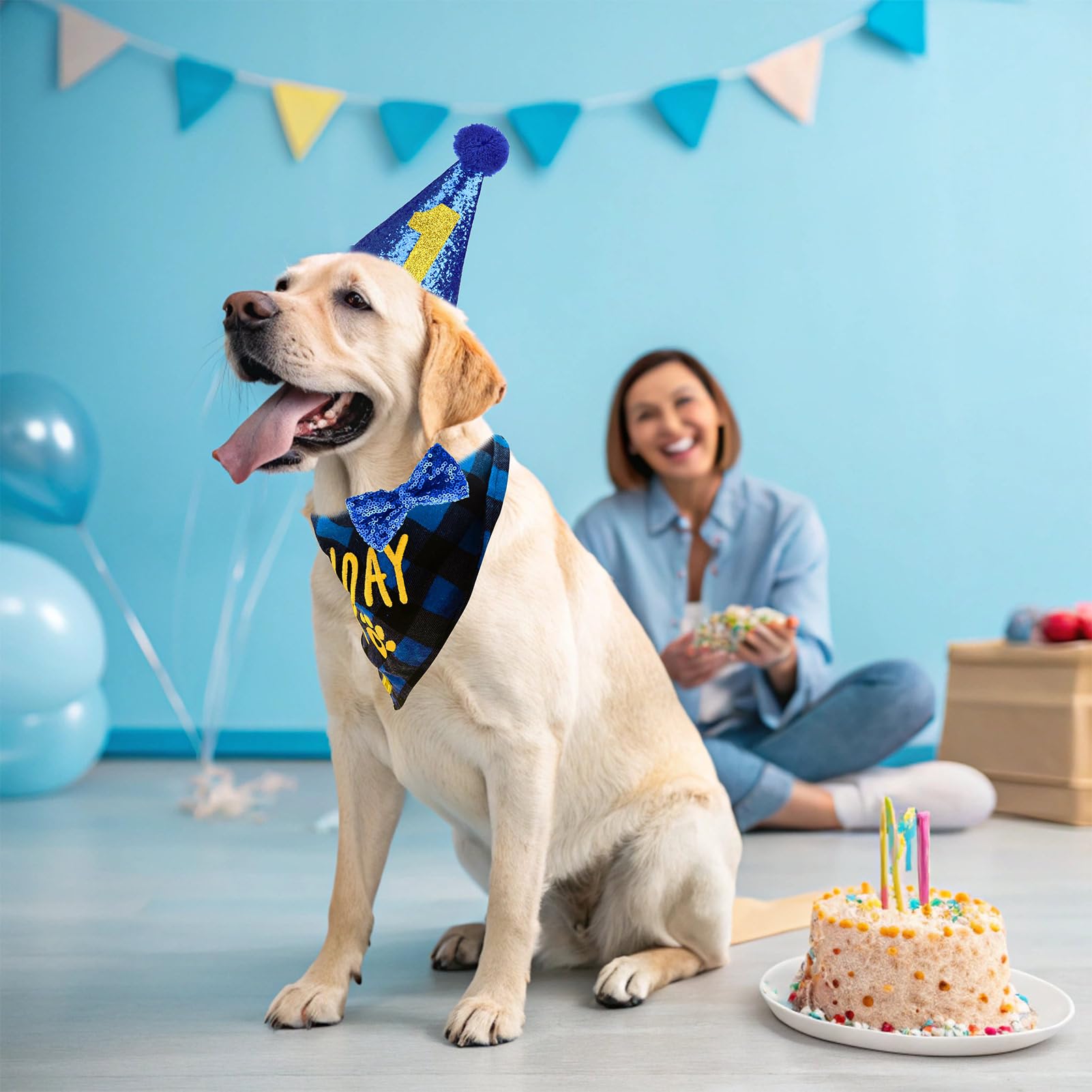EXPAWLORER conjunto de fiesta canina listo para lucir.