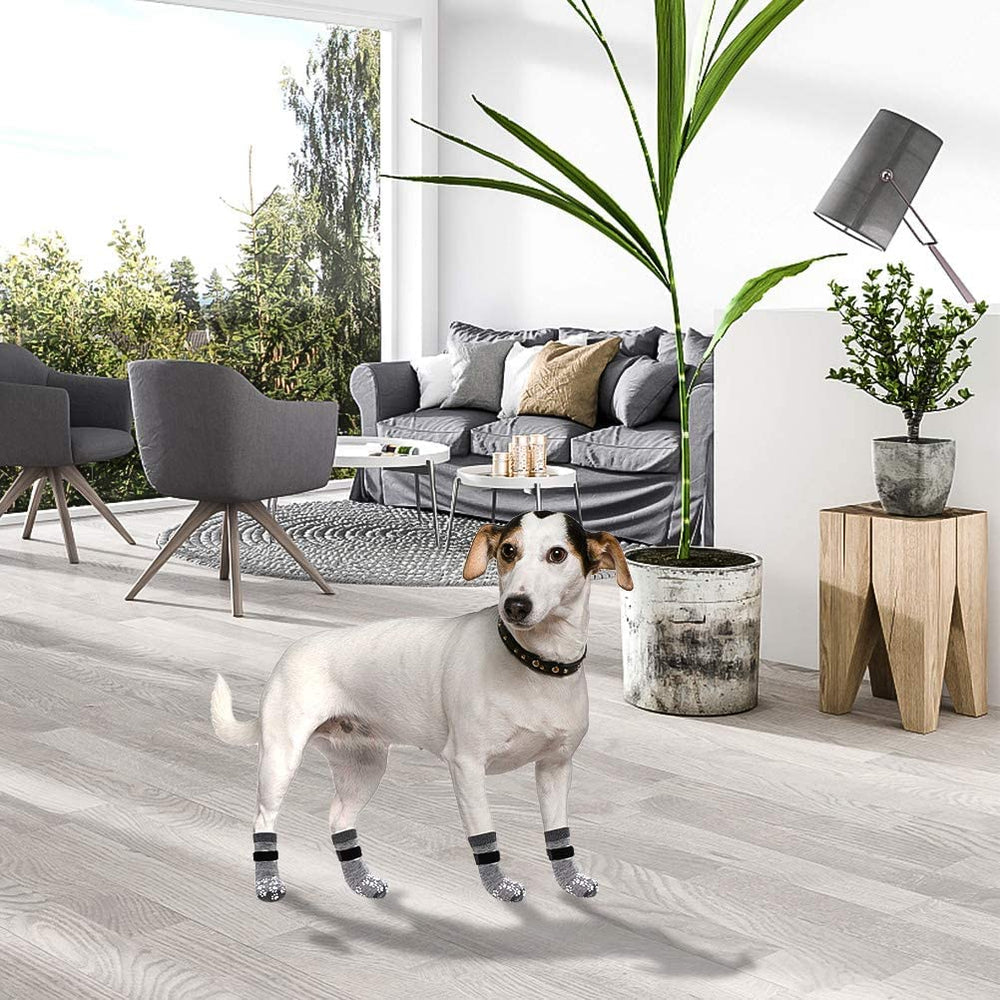 EXPAWLORER tailles adaptables, ajustement parfait pour tous les chiens