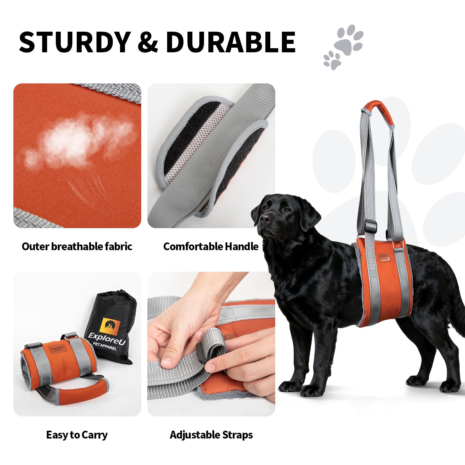 ExploreU arnés de elevación, bolsa de transporte para guardar cuando no se usa