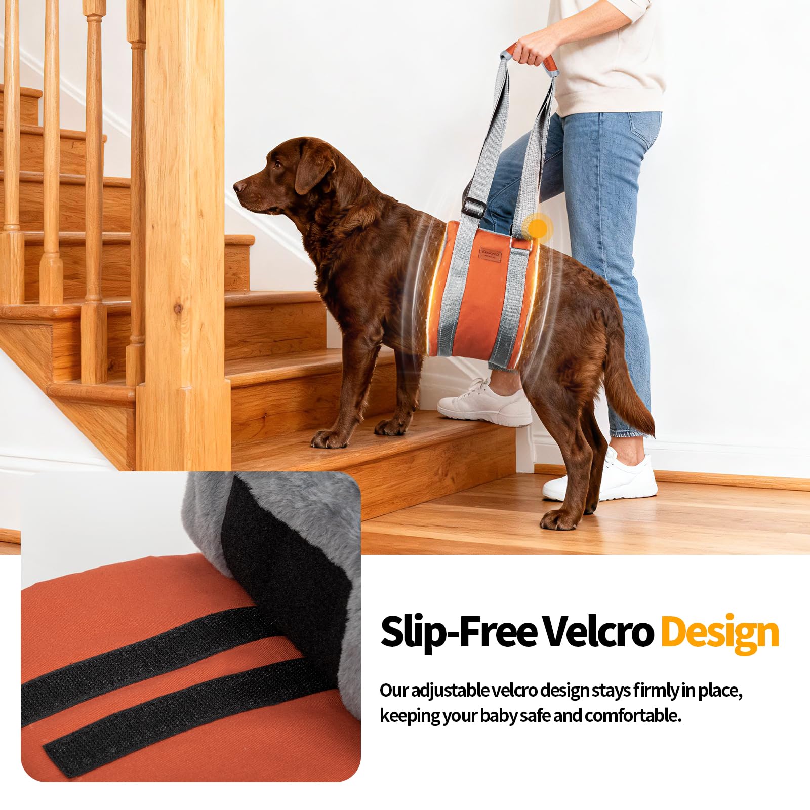 ExploreU arnés de elevación para perro, ayuda a subir escaleras con seguridad