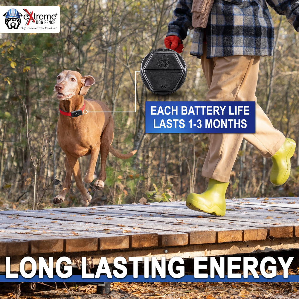 Extreme Dog Fence batería RFA67 compatible con receptores PetSafe.