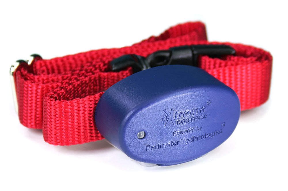 Extreme Dog Fence collar activo en perro para delimitar área de juego