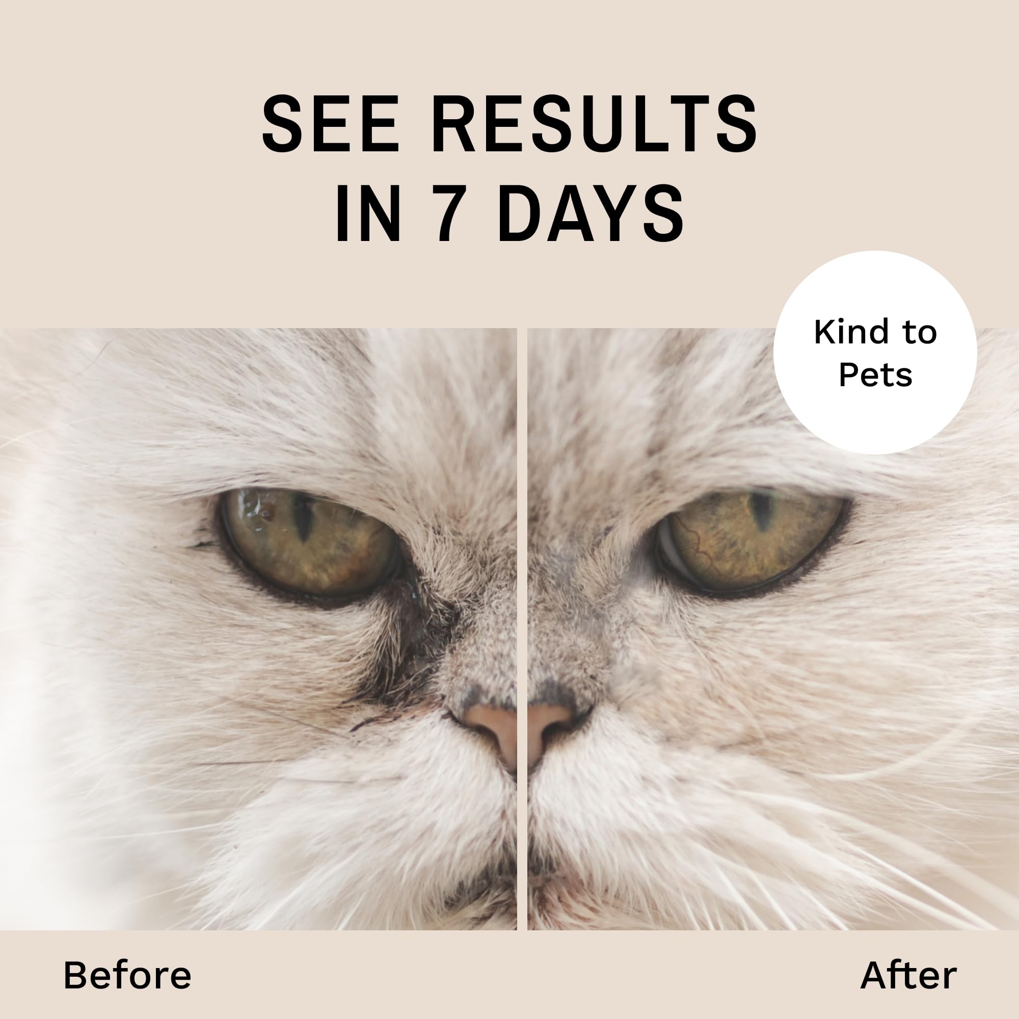 Eye Envy ProPowder pequeño, ideal para gatitos.