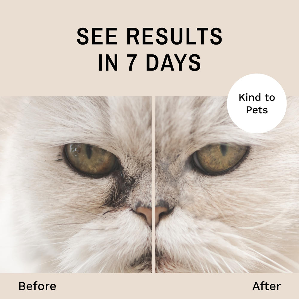 Eye Envy ProPowder pequeño, ideal para gatitos.