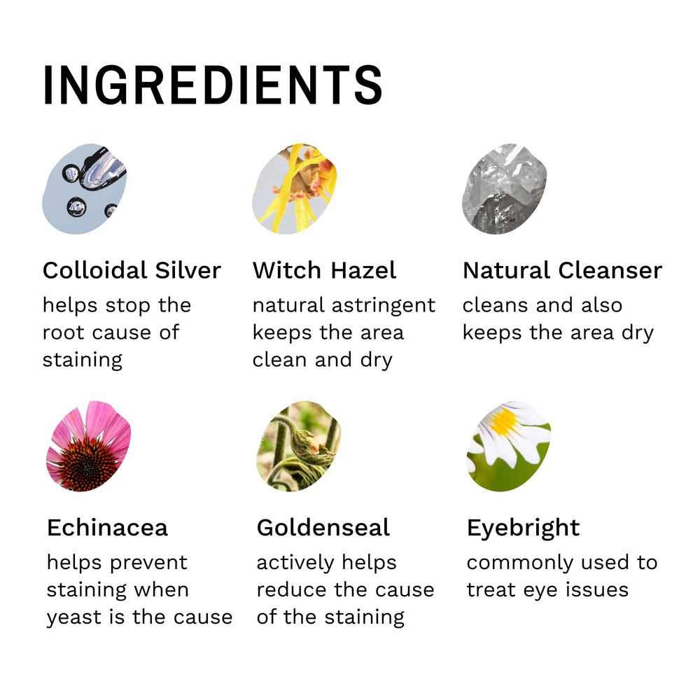 Brocha ProPowder pequeña Eye Envy para zonas delicadas