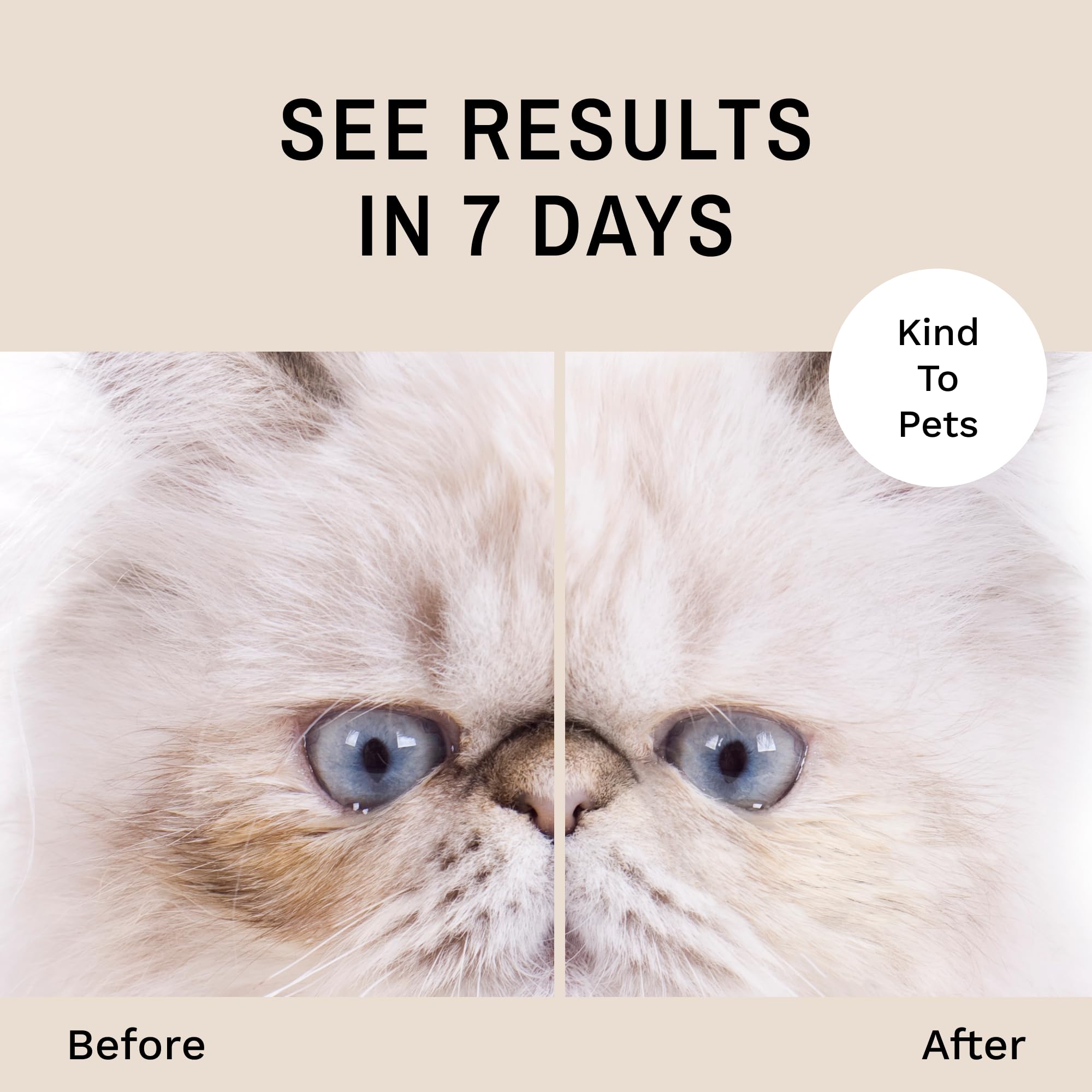 Eye Envy: limpieza de la zona ocular del gato para un aspecto más limpio