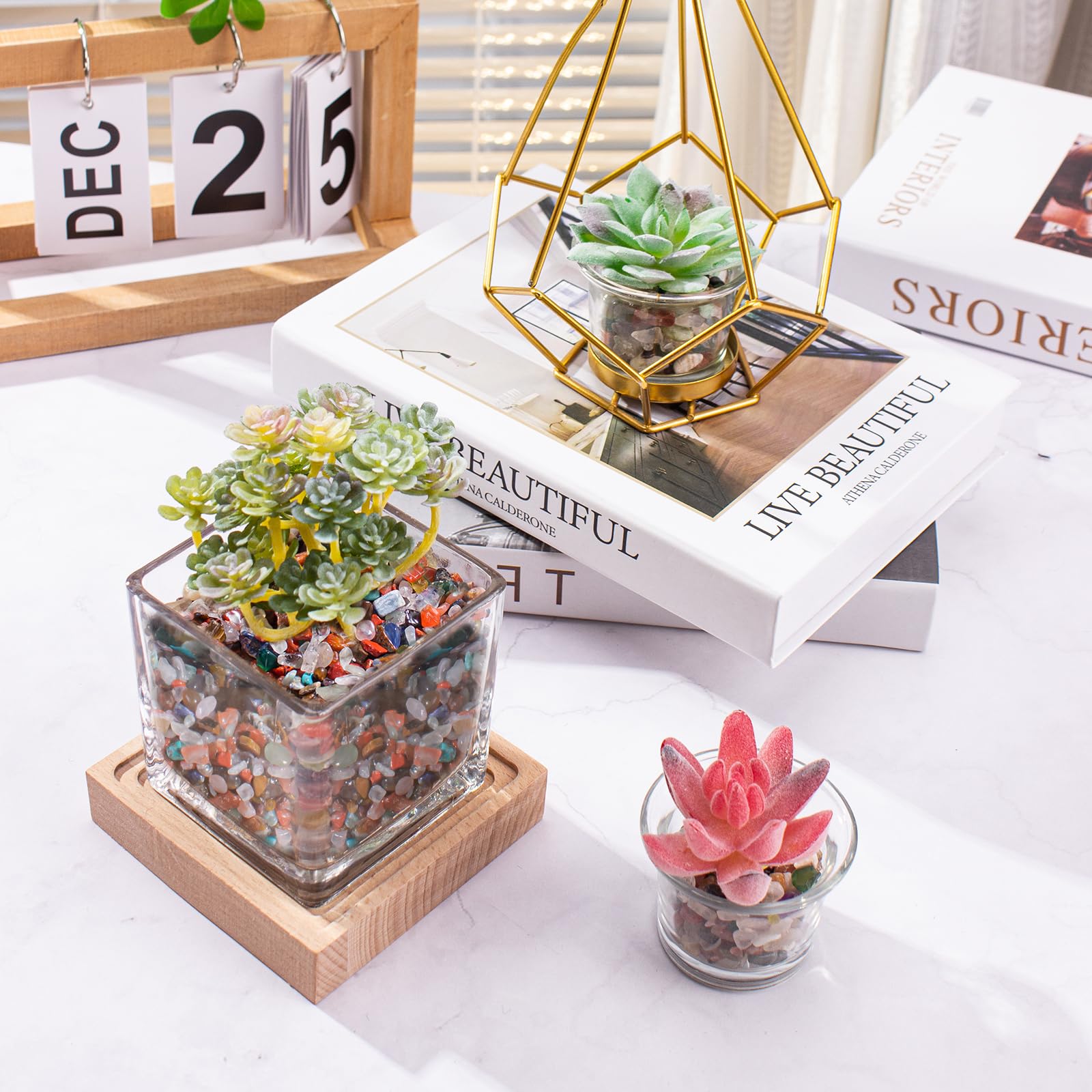 EZEELAI: cristales para acuario, decoración atractiva sin tinturas.