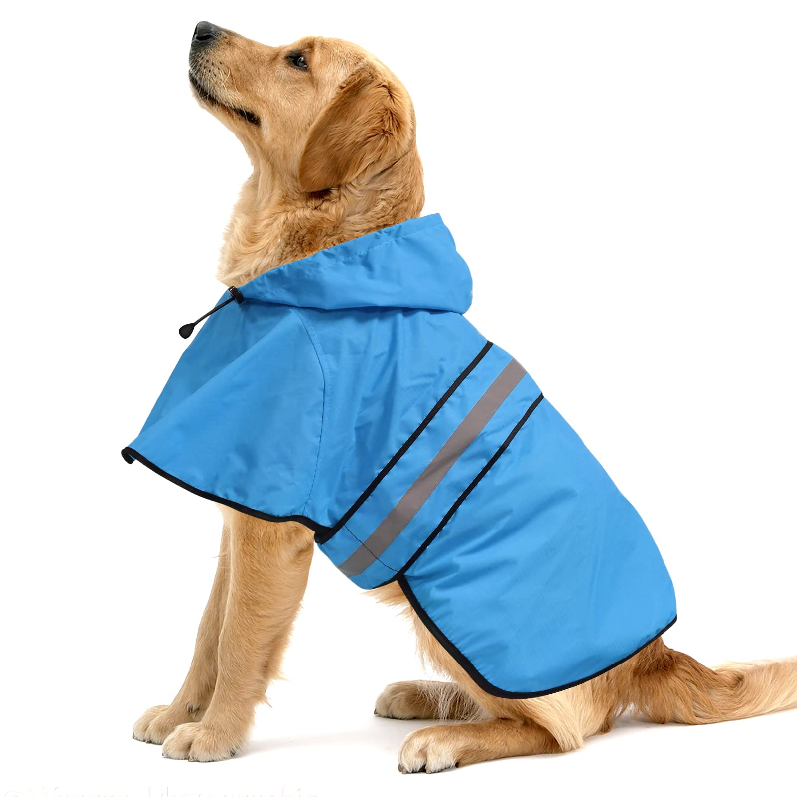 Ezerfy capucha impermeable para perro, ideal para paseos mojados.