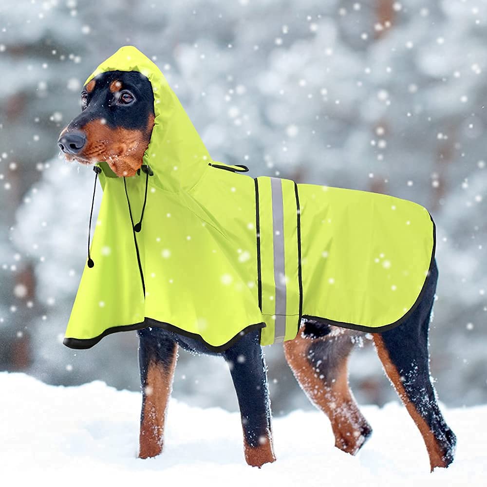 Abrigo impermeable Ezierfy para perros grandes, ideal para paseos diarios.