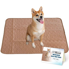 EZwhelp almohadillas: superficie suave y absorbente para entrenamiento de perros.
