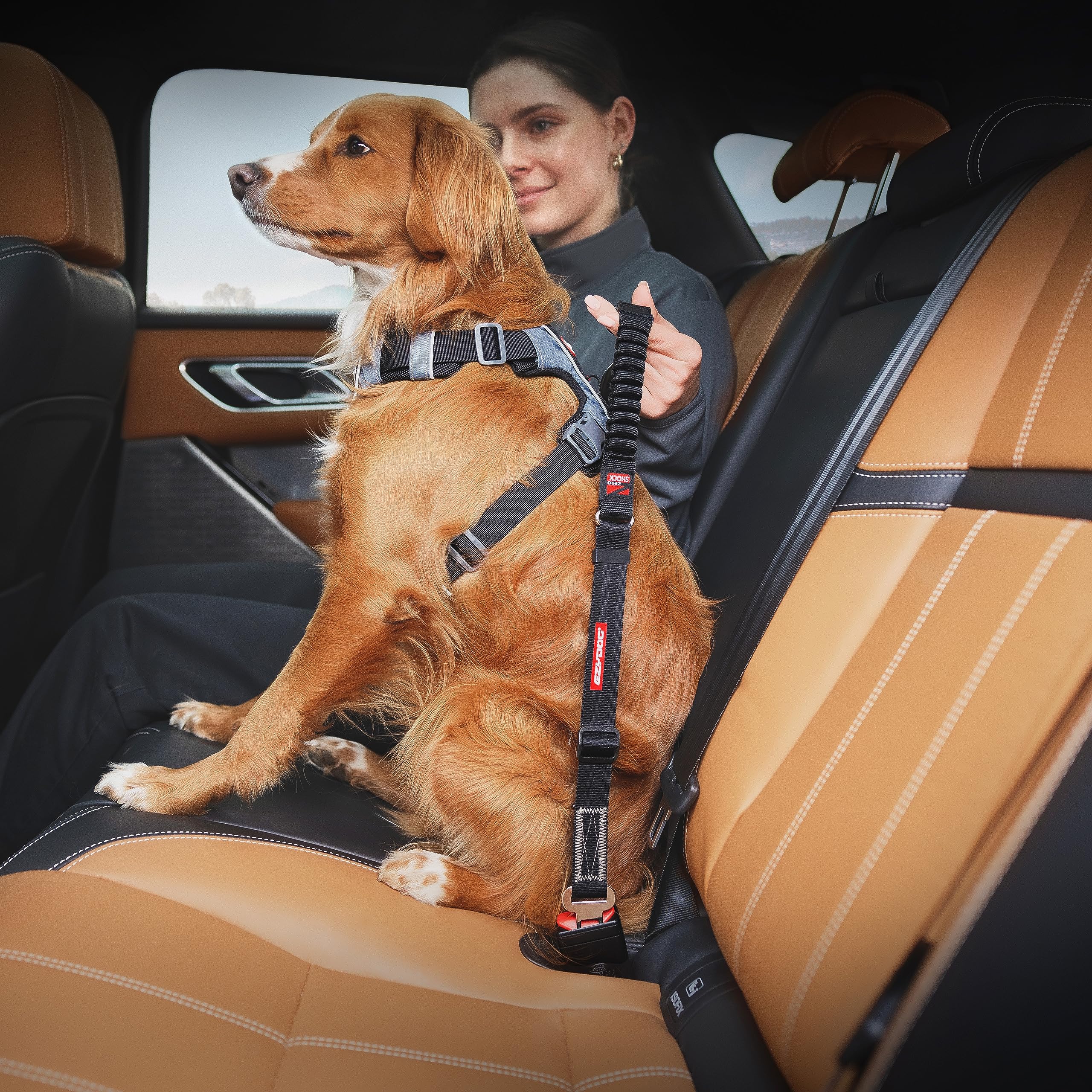 EzyDog Cero Sacudidas Cinturón de nylon resistente para viajes